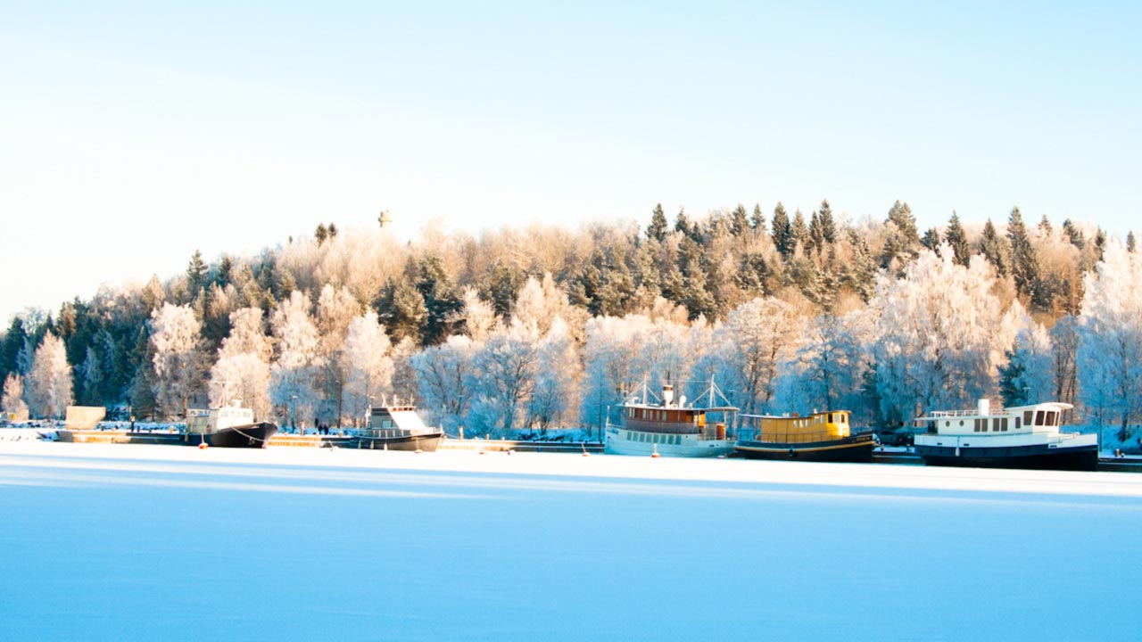 Korolainen - Photography